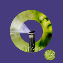 Beregeningswater uitgebreid